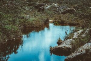 High angle of peaceful pond with overgrown rocky shore reflecting blue sky in daylight