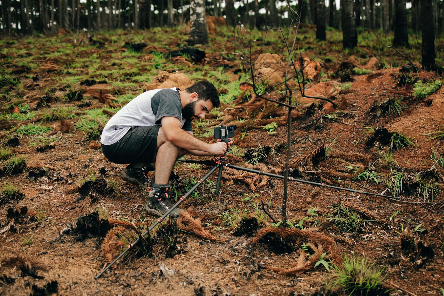 A man setting up equipment in a forest for environmental research.