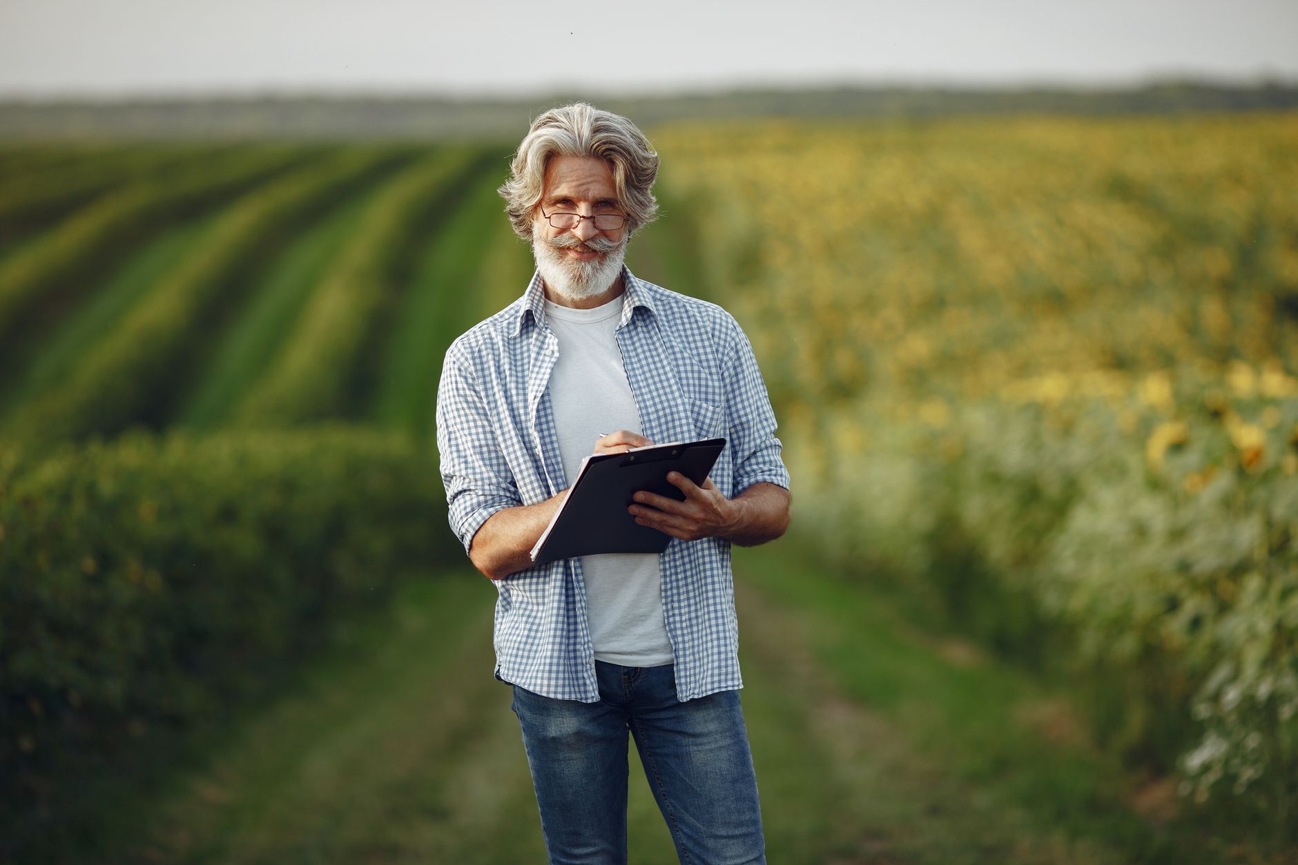 Senior farmer taking notes in sunny countryside field, wearing eyeglasses.
