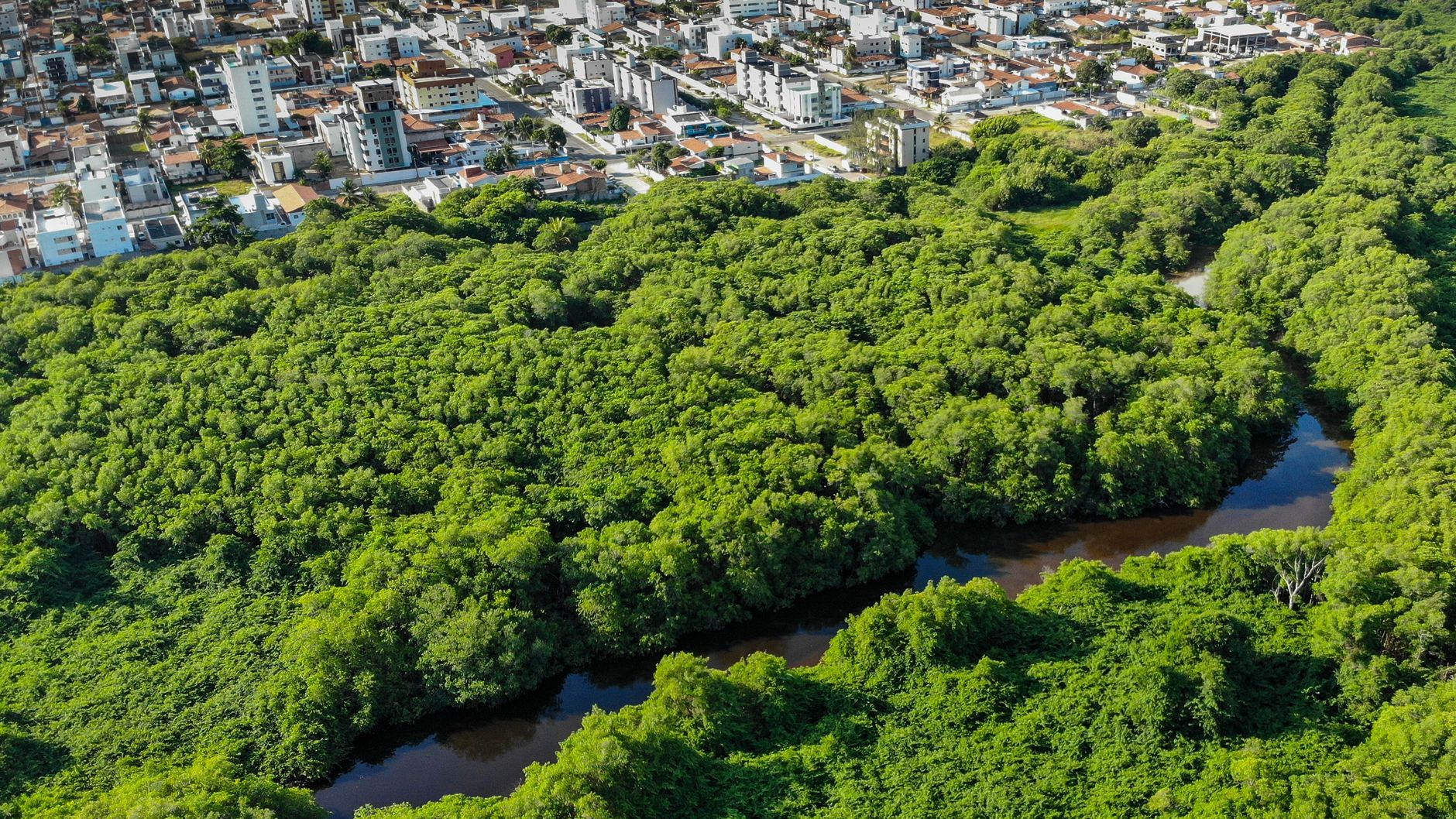 A stunning aerial view of lush forest and cityscape in João Pessoa, Brazil.