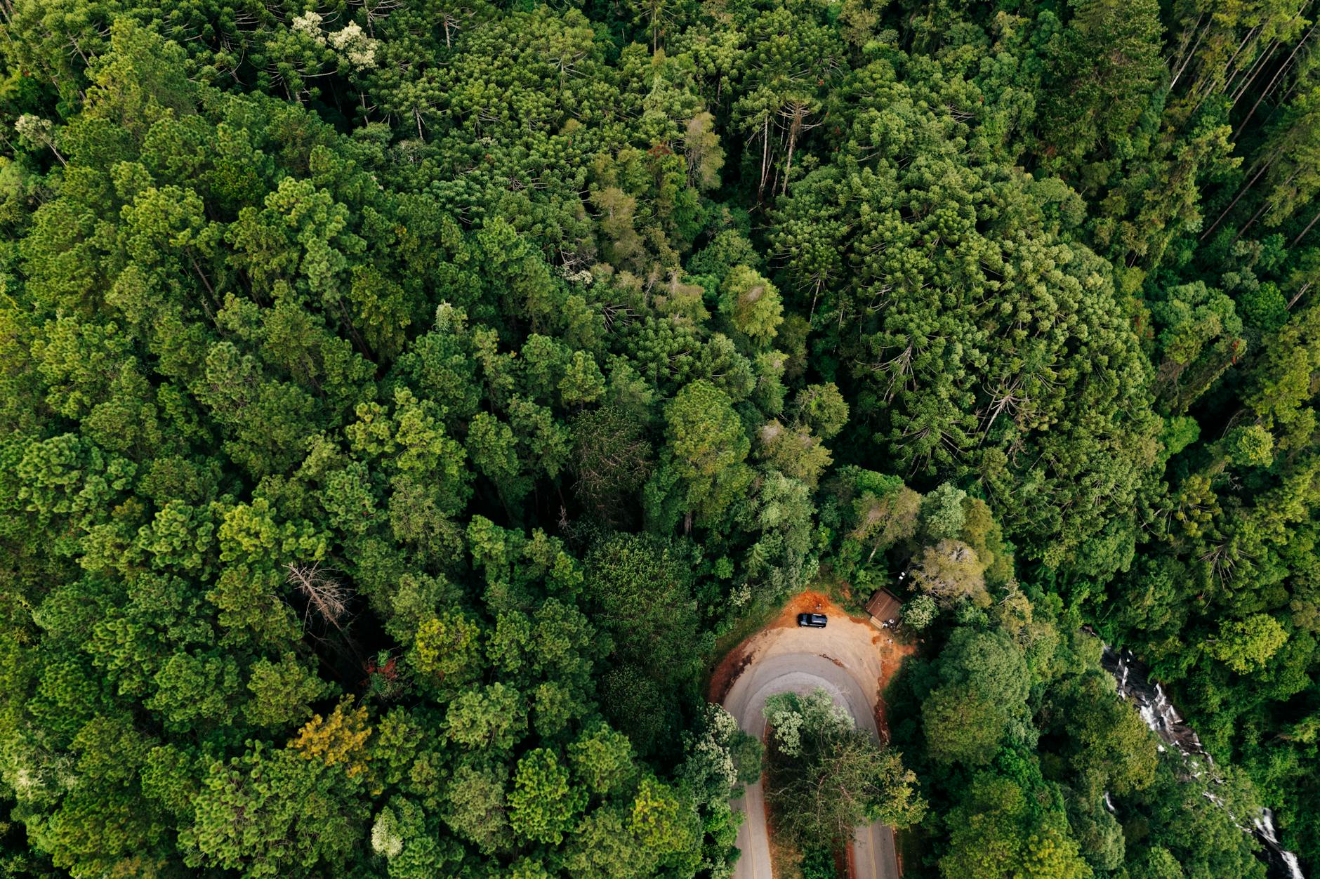 Drone shot of a winding forest road in São Bento do Sapucaí, Brazil surrounded by lush green trees.