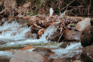 A tranquil stream cascading over rocks in a forest setting, capturing the essence of nature.