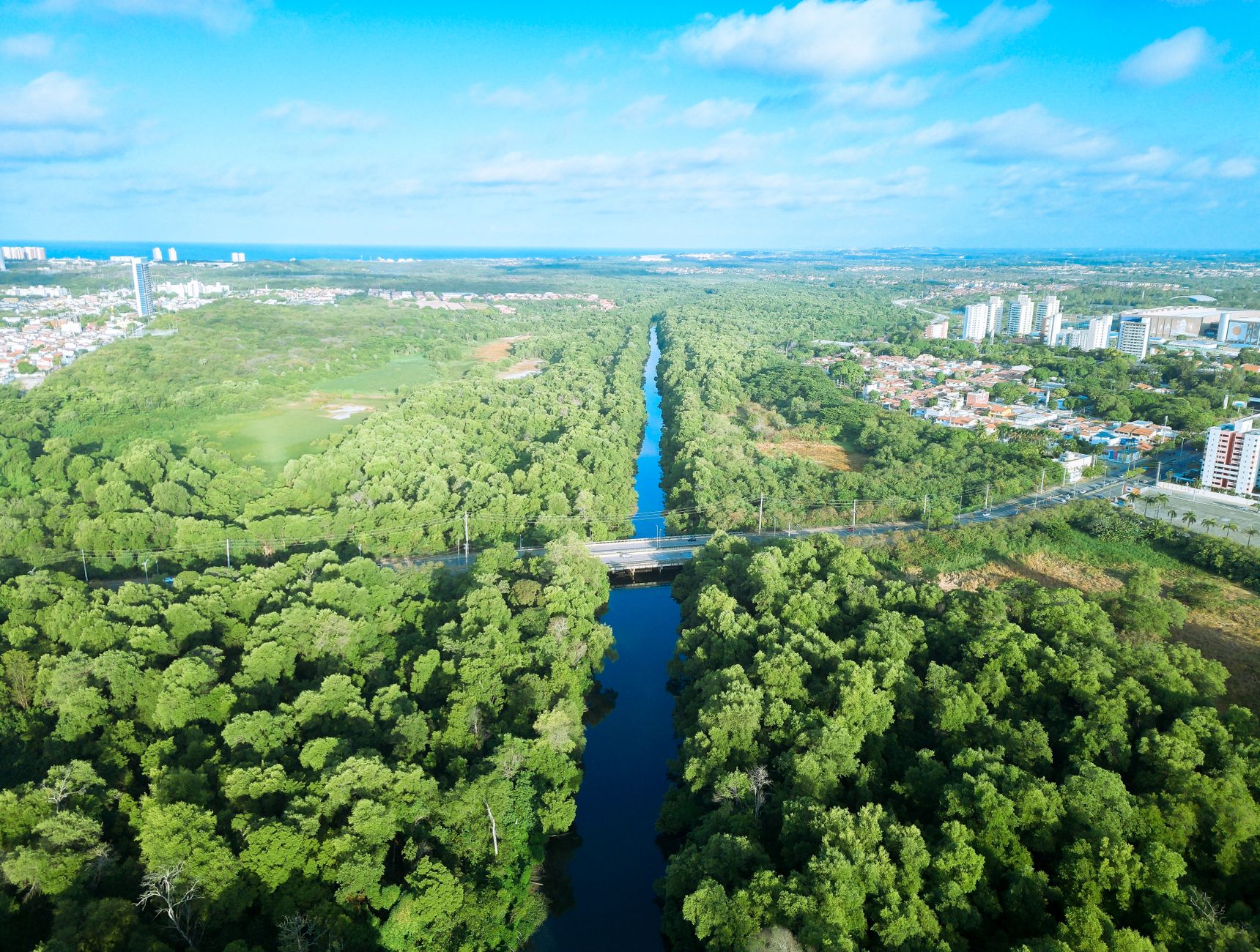 A stunning aerial view of an urban forest and river in Fortaleza, Brazil.
