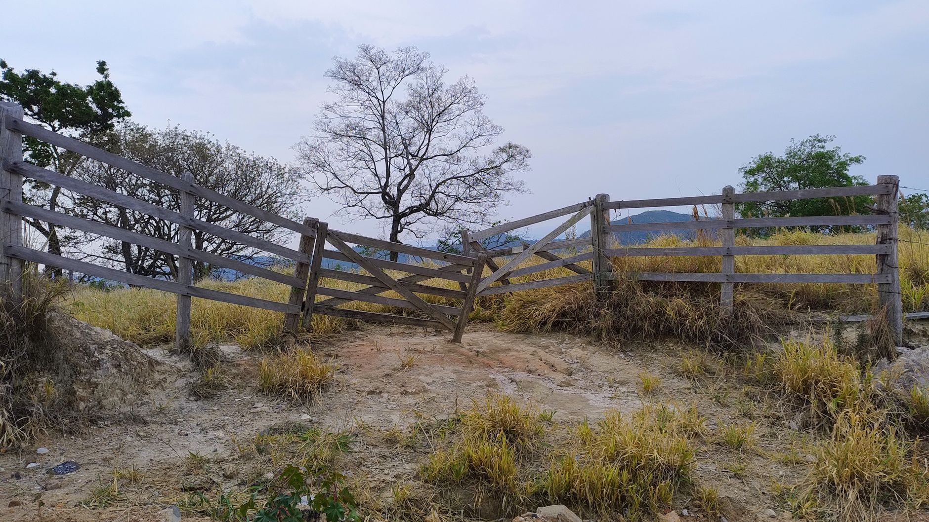 Rustic wooden fence in Águas de Lindóia, São Paulo, amidst dry grass and trees.
