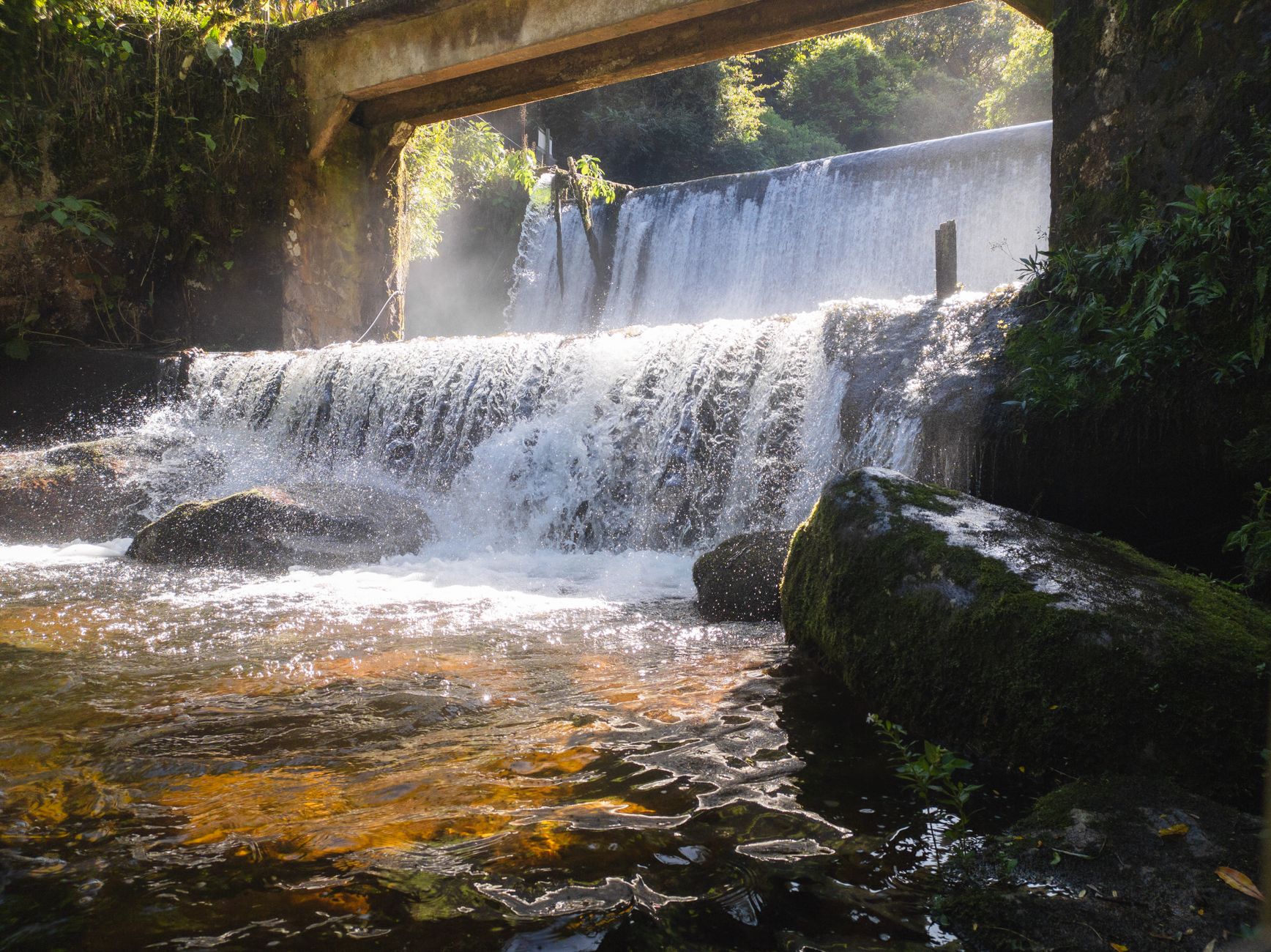 A serene waterfall cascading over rocks in a lush forest setting, perfect for nature enthusiasts.