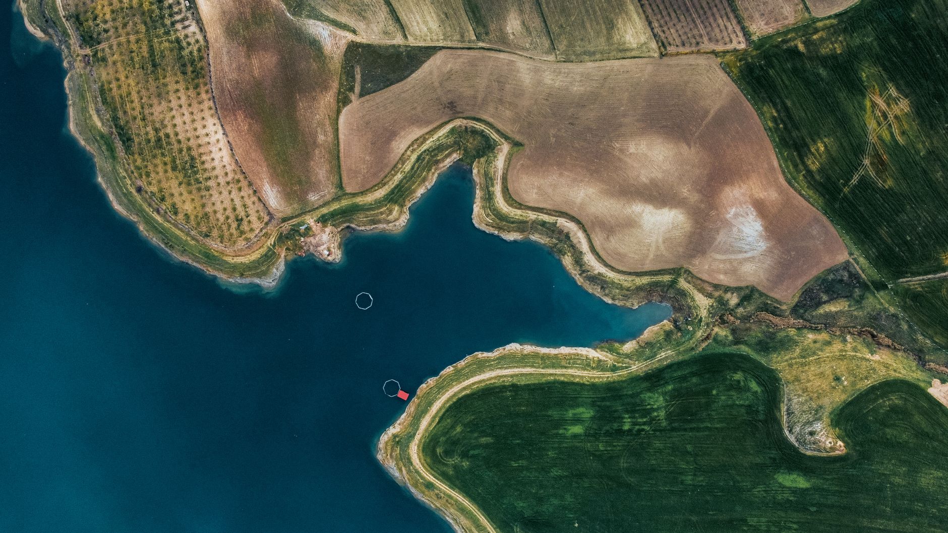 Drone capture of lush green fields and a tranquil lake, showcasing rural landscapes.