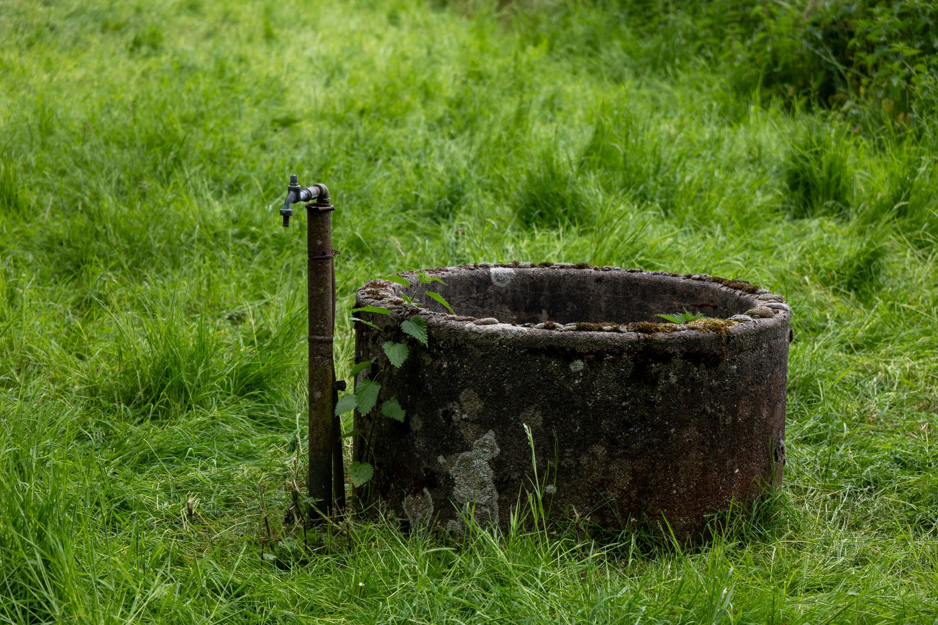 An old stone well with a metal tap in a green grassy meadow, representing rural charm.