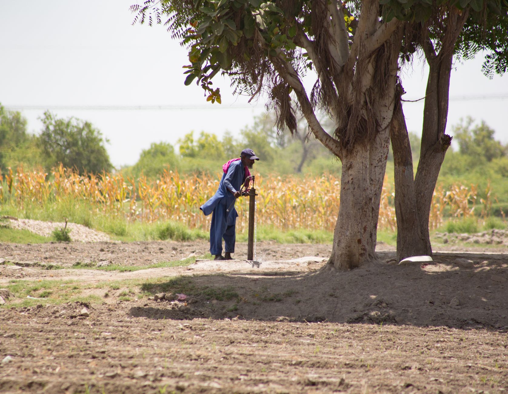 A farmer operates a hand pump under the shade of a tree in Kandiāro, Sindh, Pakistan.