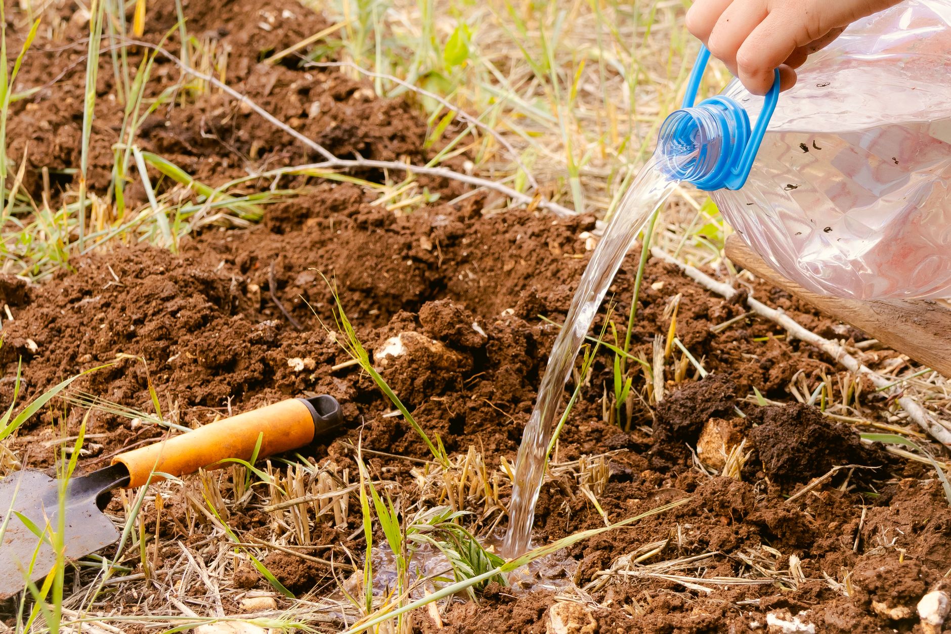 A hand using a plastic bottle to water soil in a garden setting, indicating sustainable gardening practices.