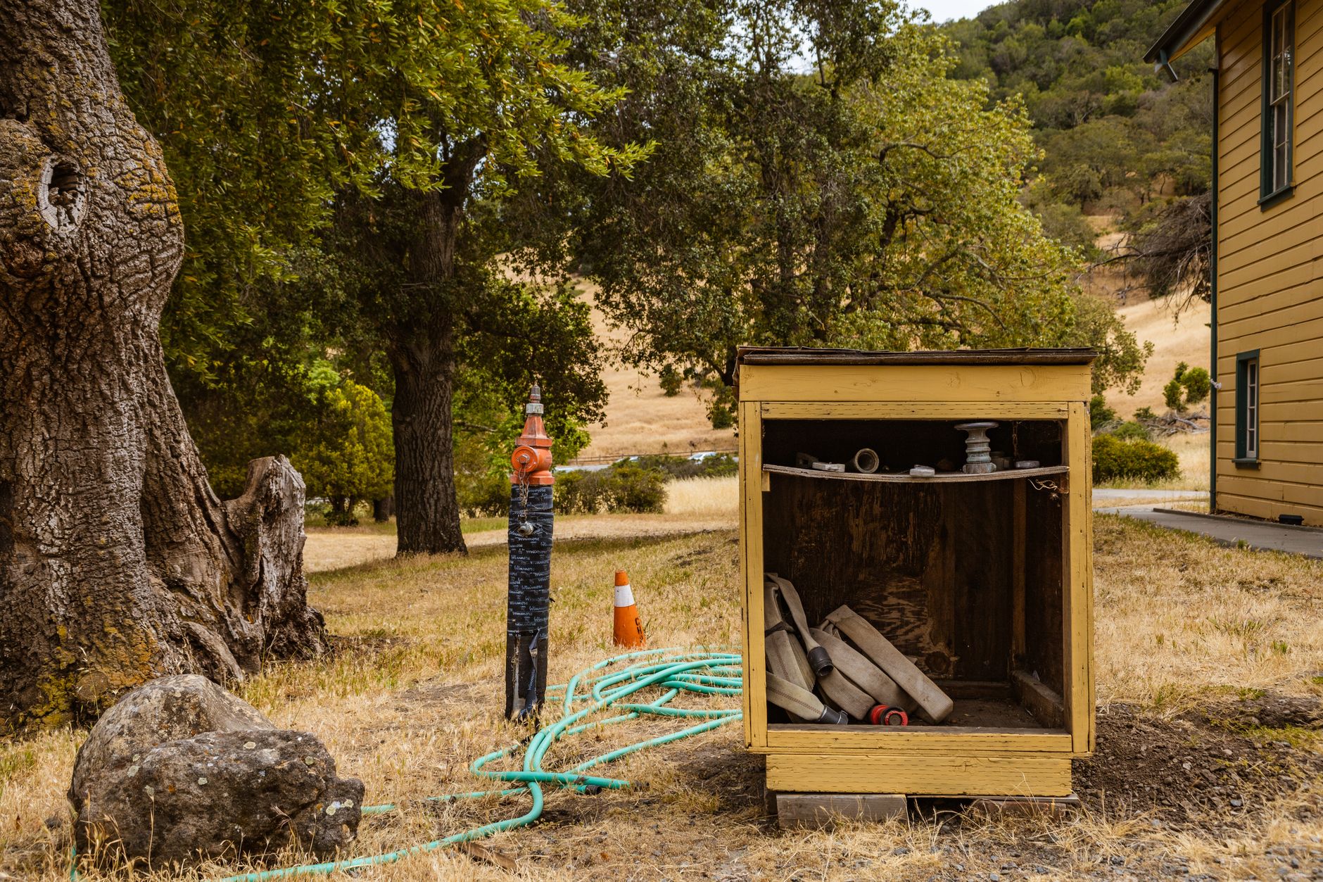 A rustic outdoor landscape with utility box, trees, and garden hoses under summer skies.
