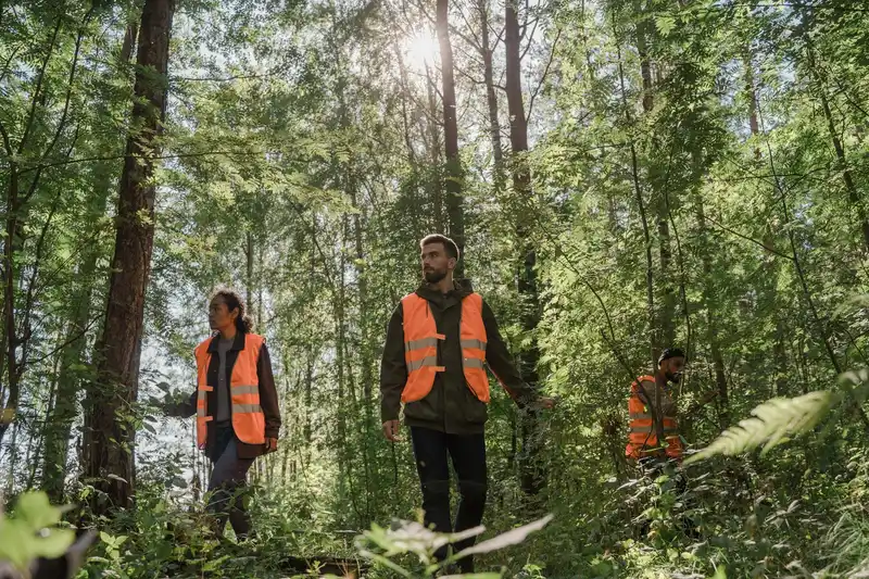 Three workers in safety vests conducting an environmental survey in a sunlit forest.