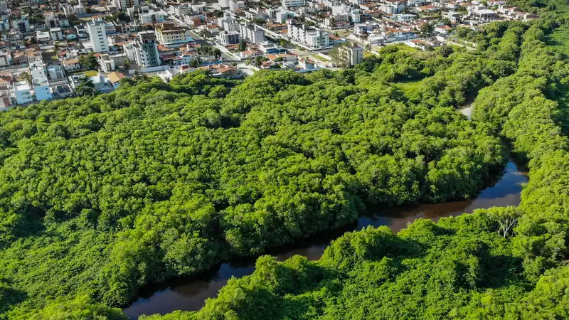 A stunning aerial view of lush forest and cityscape in João Pessoa, Brazil.