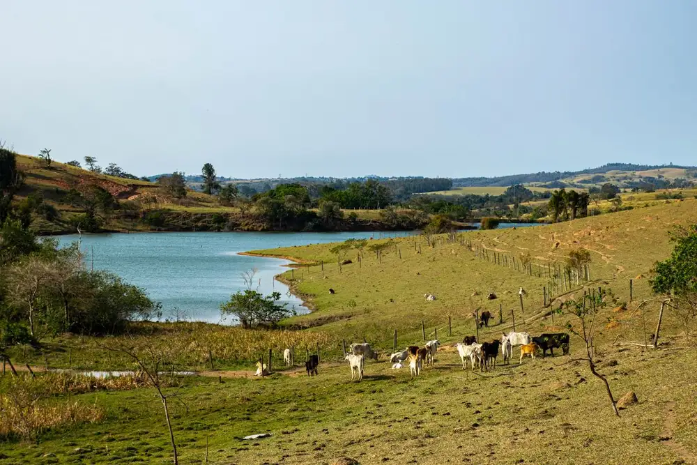Como obter outorga de poço artesiano em Campinas?