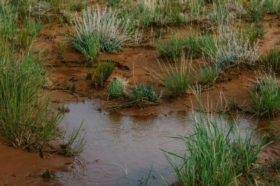 A small puddle of water in the middle of a field