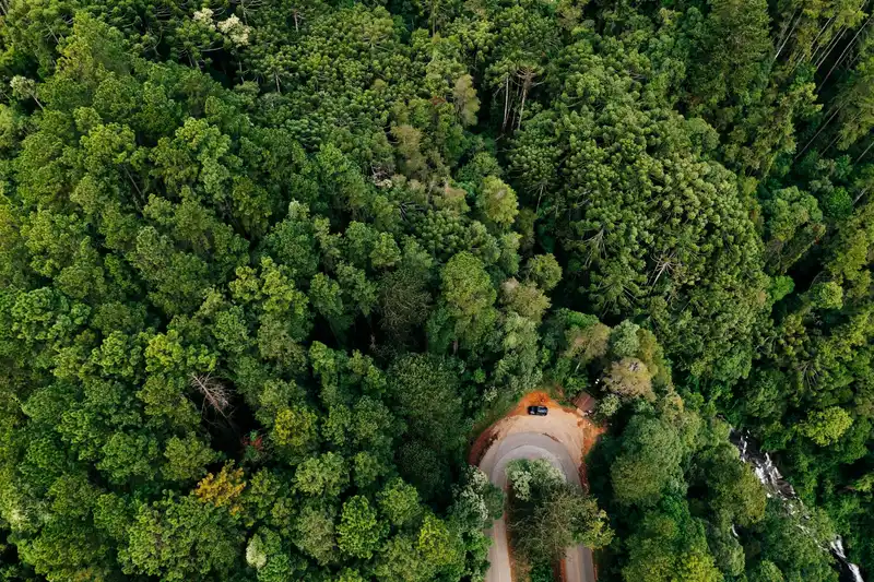 Drone shot of a winding forest road in São Bento do Sapucaí, Brazil surrounded by lush green trees.