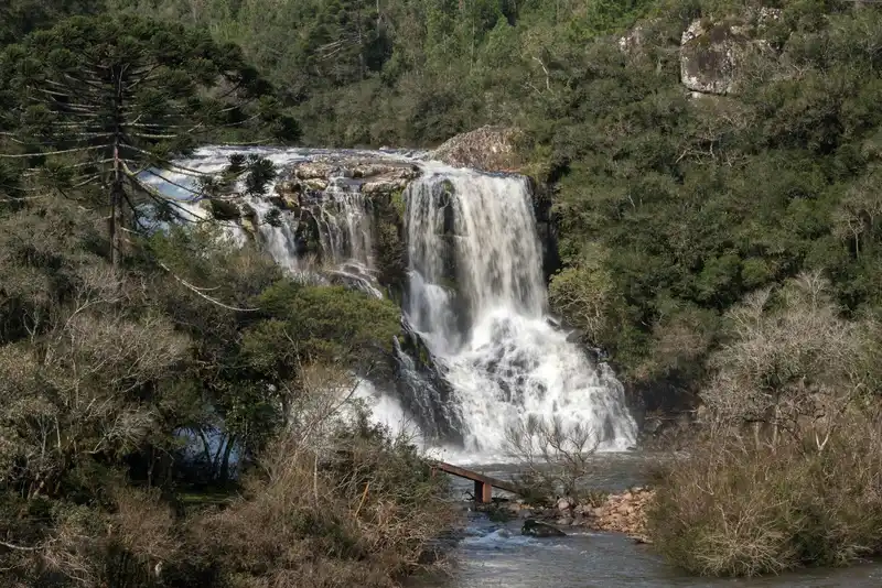 Stunning waterfall surrounded by lush greenery in São Francisco de Paula, Brazil.