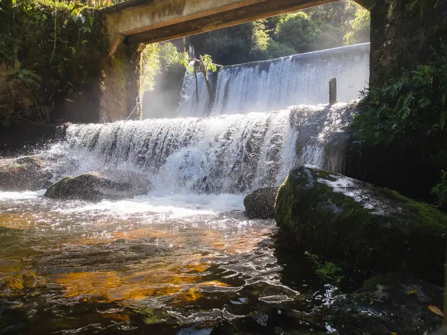 A serene waterfall cascading over rocks in a lush forest setting, perfect for nature enthusiasts.